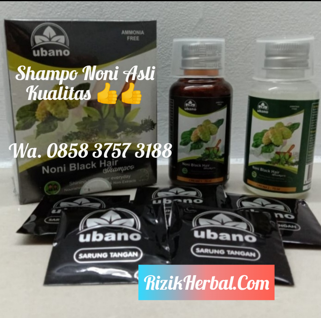 Shampo noni asli original ciri asli dan palsu suplayer Indonesia penghitam rambut Black hair magic Ubano Sampo noni asli not BSY
